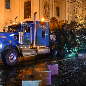 Pracovníci přivážejí vánoční strom na Staroměstské náměstí.