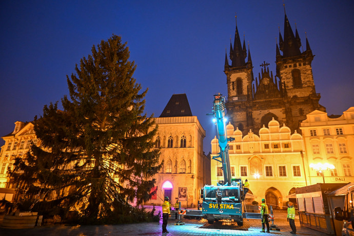 FOTO: Vánoční strom na Staroměstském náměstí už stojí. Zbývá ho ozdobit.