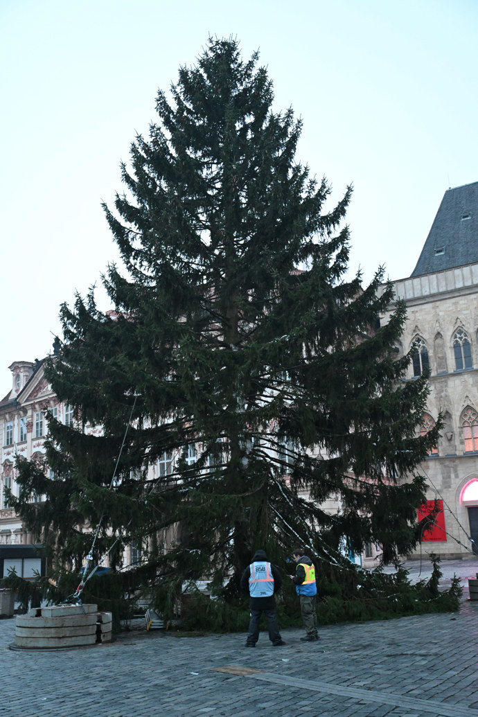 FOTO: Majestátní vánoční strom. – stránka 2