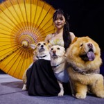 Čtyřnozí mazlíčci předvedli zajímavé kreace.