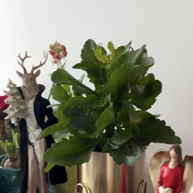 Vánoční výzdoba Agáty Hanychové.