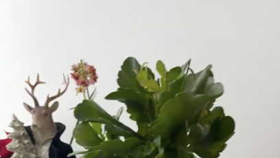 FOTO: Vánoční výzdoba Agáty Hanychové.