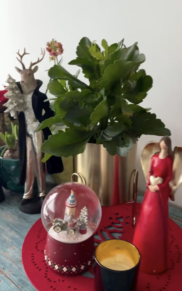 FOTO: Vánoční výzdoba Agáty Hanychové. – stránka 9
