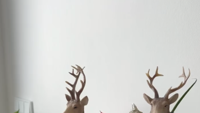 FOTO: Vánoční výzdoba Agáty Hanychové.