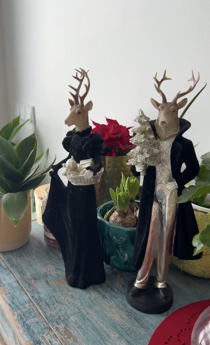 FOTO: Vánoční výzdoba Agáty Hanychové. – stránka 8