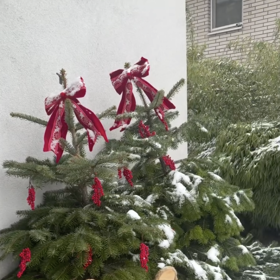 Vánoční výzdoba Agáty Hanychové.