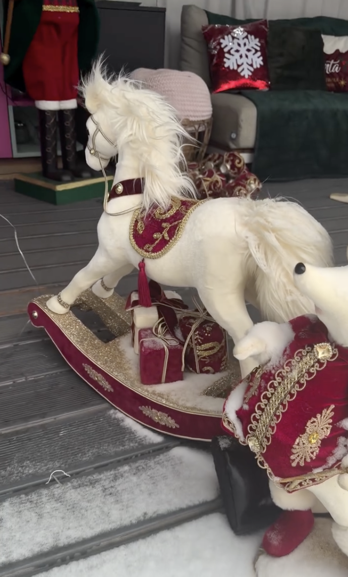 FOTO: Vánoční výzdoba Agáty Hanychové. – stránka 6