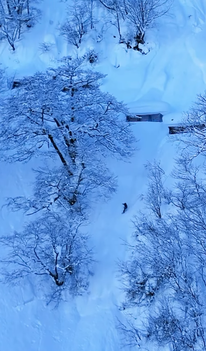 FOTO: Šárka Pančochová jela mezi stromy, kde ji zastihla lavina. – stránka 1