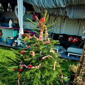 Také na zahradě nesmíte minout nazdobený smrček. 