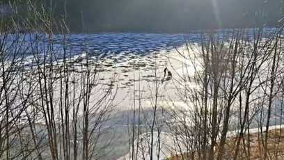FOTO: Žena hazardovala nejen se svým životem, ale i životem dítěte.