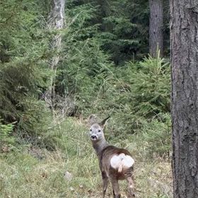 Martina Čechová okomentovala první svátky bez Petra.