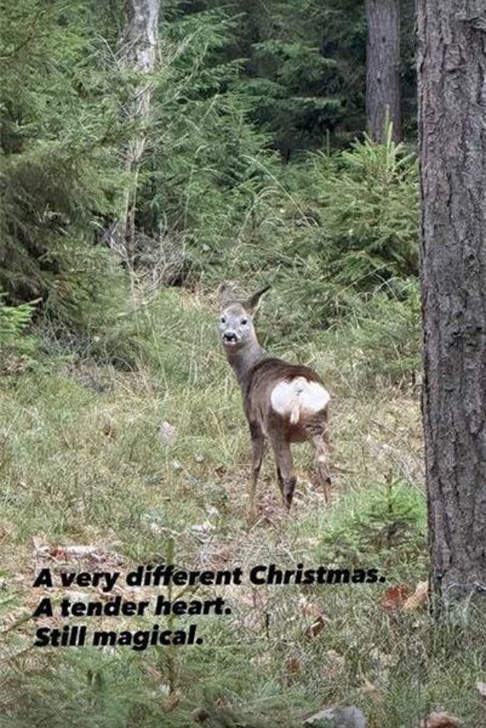 FOTO: Martina Čechová okomentovala první svátky bez Petra.