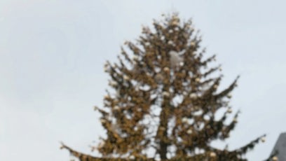 FOTO: Věrný Praze zůstal i Johan Mádr.