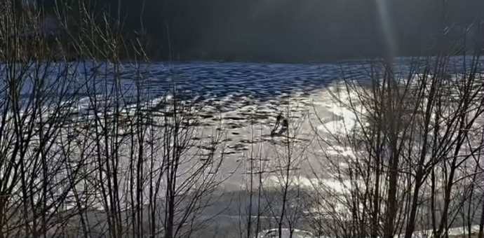 FOTO: Led na přehradě Labská dosahuje tloušťky do 8 cm a to pouze při březích.