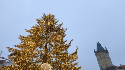 FOTO: Vánoční strom na Staroměstském náměstí.