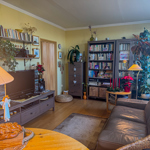 Pohled na obývací pokoj s knihovnou, kterou si Petr Rezek přál.