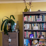 Detail knihovny v bytě Petra a Hanky Rezkových