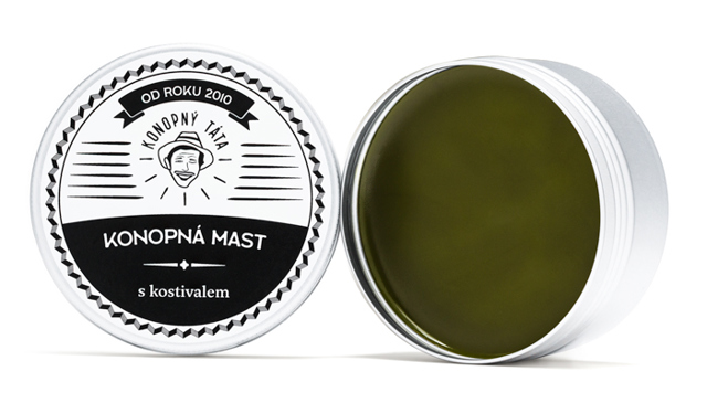 Vánoce se blíží: Tipy na skvělé dárky pro každého člena rodiny, včetně domácích mazlíčků Vánoce se blíží: Tipy na skvělé dárky pro každého člena rodiny, včetně domácích mazlíčků