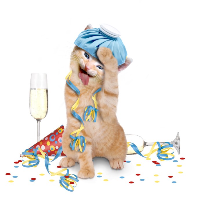 Foto k tématu kocovina