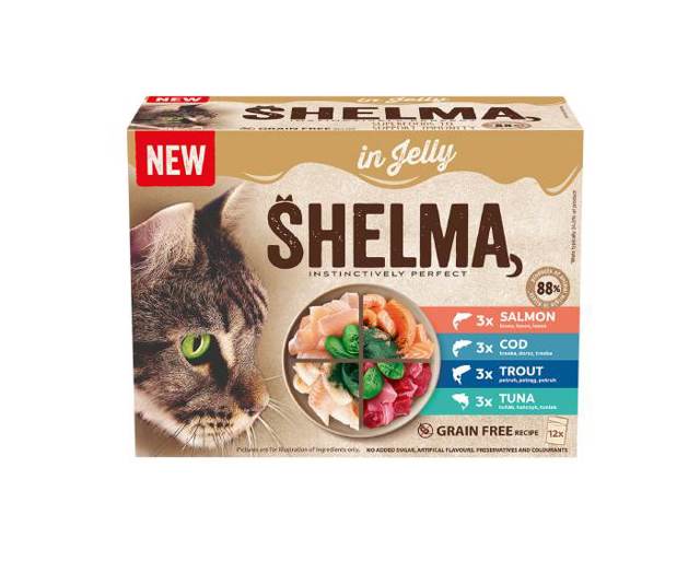 Chcete, aby si kočka užila šťastné Vánoce? Těchto pár jednoduchých triků zajistí klidné svátky vám oběma 