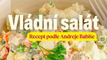 FOTO: Babišův vánoční salát.