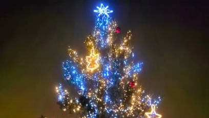 FOTO: Martin Hranáč po show zastavil s přítelem u stromu.