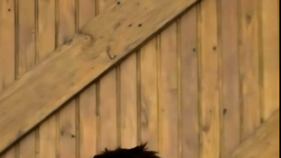 FOTO: Tylor Chase si zahrál také ve filmu Good Time Max.