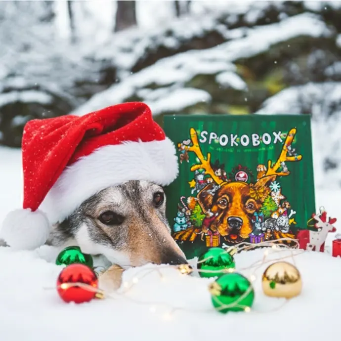 Foto k tématu dárky – stránka 2