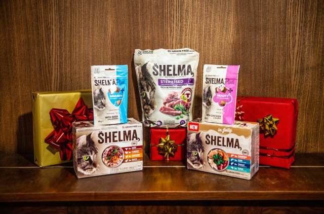 Chcete, aby si kočka užila šťastné Vánoce? Těchto pár jednoduchých triků zajistí klidné svátky vám oběma 