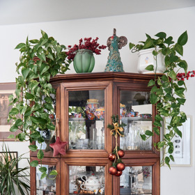 Skleník je plný krásného porcelánu.