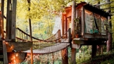 Secluded Intown Treehouse, Atlanta, Georgia.