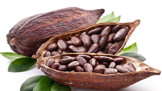 Kakaové boby jsou superpotravinou