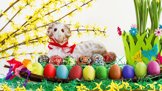 Velikonoční výzdoba, beránek a malovaná vajíčka - svátky jara jsou tu
