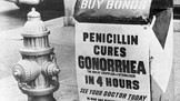 Z historie penicilinu: Alexander Fleming si náhodou všiml plísně v misce s bakteriemi