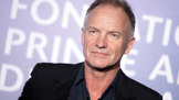 Sting