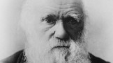 Charles Darwin