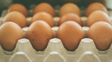 Skladujete vejce v lednici správně? Farmář radí revoluční trik, stačí je postavit špičkou správným směrem