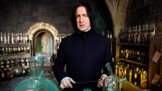 Kletba Harryho Pottera: Alan Rickman a dalších 18 herců zemřelo, kdo už není mezi námi?
