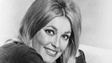 Vražda Sharon Tate: Charles Manson měl jiný cíl, těhotná herečka zemřela kvůli omylu