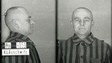 Odvážný Witold Pilecki: Do Osvětimi se nechal zavřít dobrovolně, po útěku nikdo nevěřil jeho hrůzným hlášením