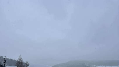 FOTO: Auta zasypal sníh.