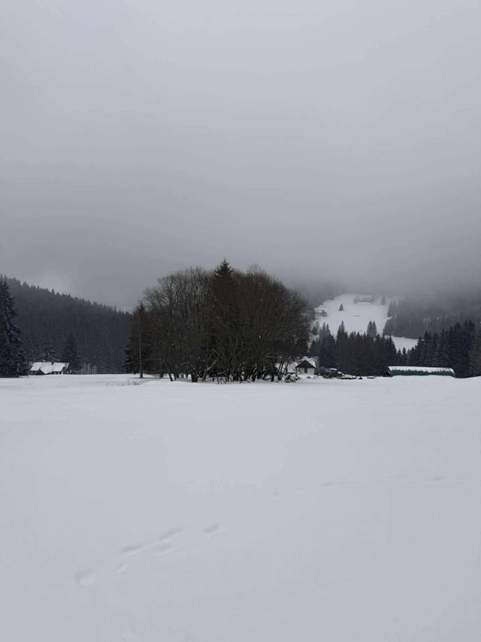 FOTO: Pec pod Sněžkou nabízí ideální podmínky pro lyžování. – stránka 6