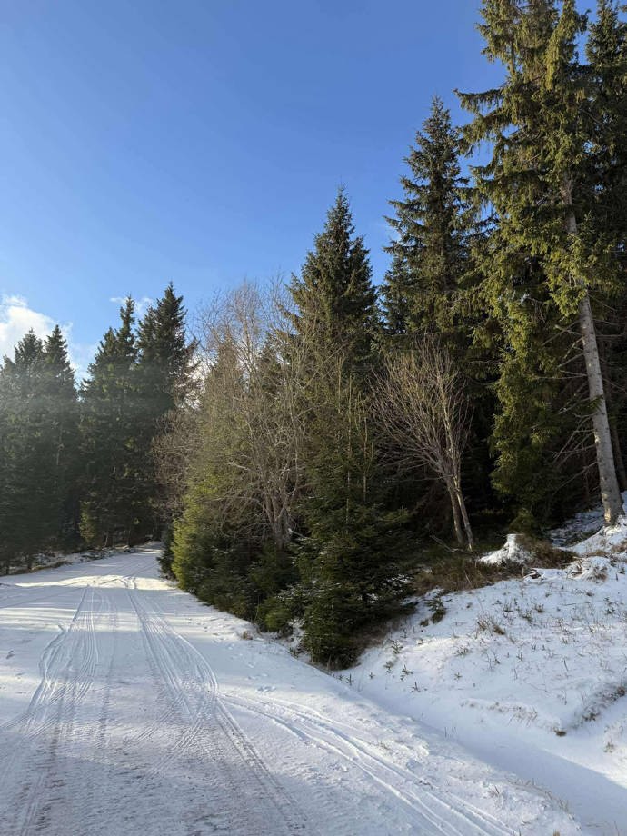 FOTO: V Peci pod Sněžkou je krásná atmosféra. – stránka 7