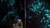 Magická atmosféra jeskyní Waitomo láká cestovatele z celého světa.