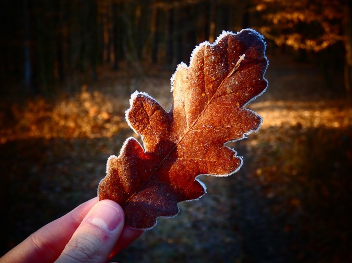 Foto k tématům podzim, zima – stránka 33