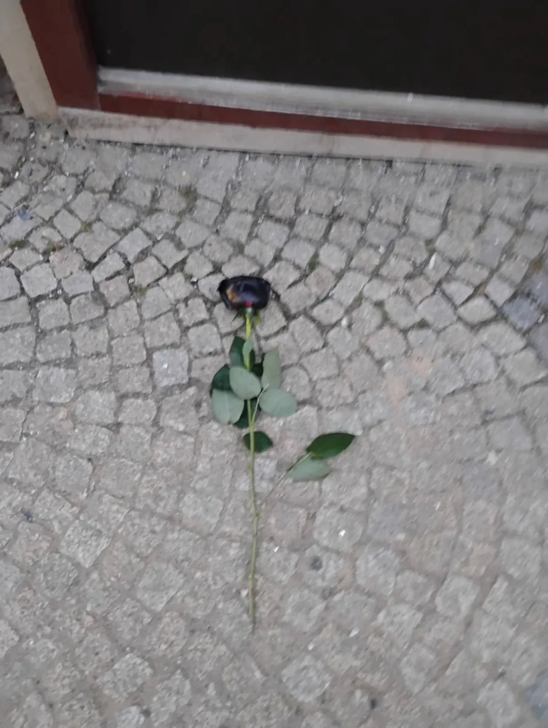 FOTO: Útočník na místě nechal pohřební růži.