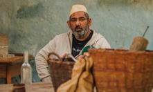 Godla má evidentně hlad.