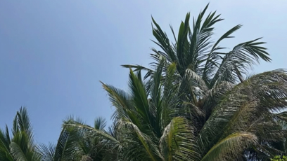 FOTO: Mia vypadá skvěle.