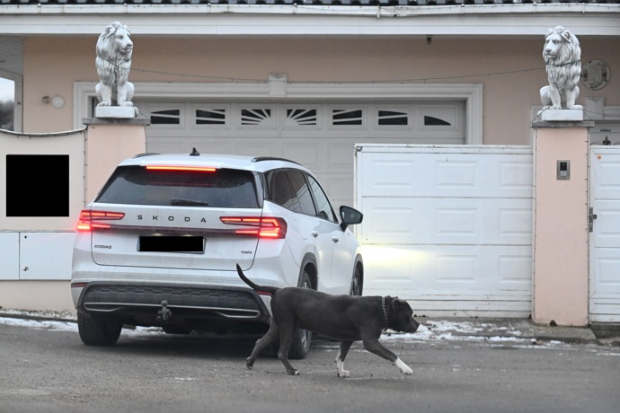 FOTO: Ke Karlosovi Vémolovi jezdí kamarád hlídat zvířata. – stránka 16