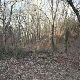 Poprvé Straka vraždil 8. dubna 1985.